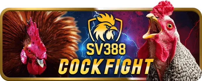 Mẹo chơi và hướng dẫn S88